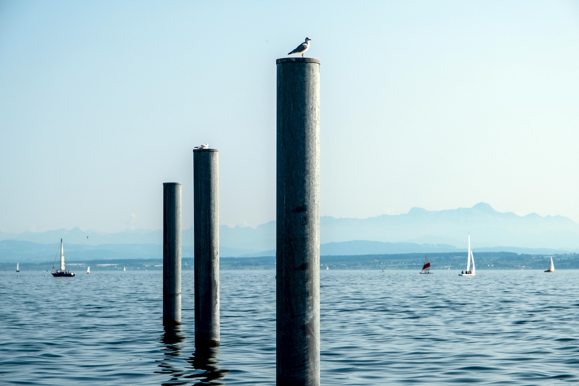 Bodensee bei Bregenz