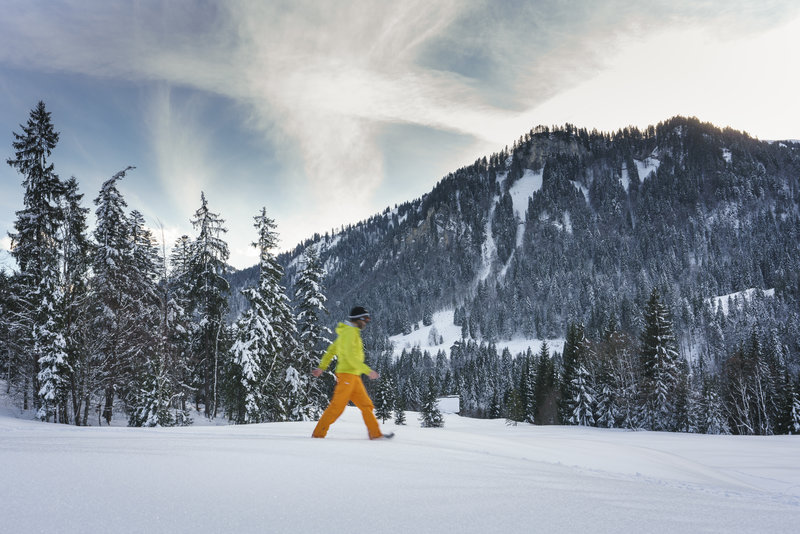 Winterwanderweg Bregenzerwald