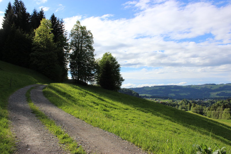 Waldweg am Rotenberg bei Lingenau